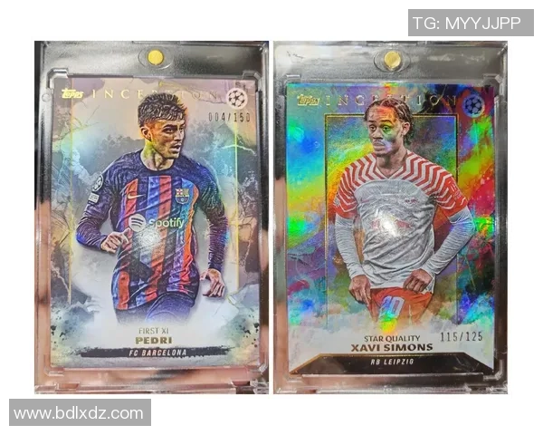 全球足球史上最贵的球星卡排名揭秘 哪些卡片价值飙升到天价